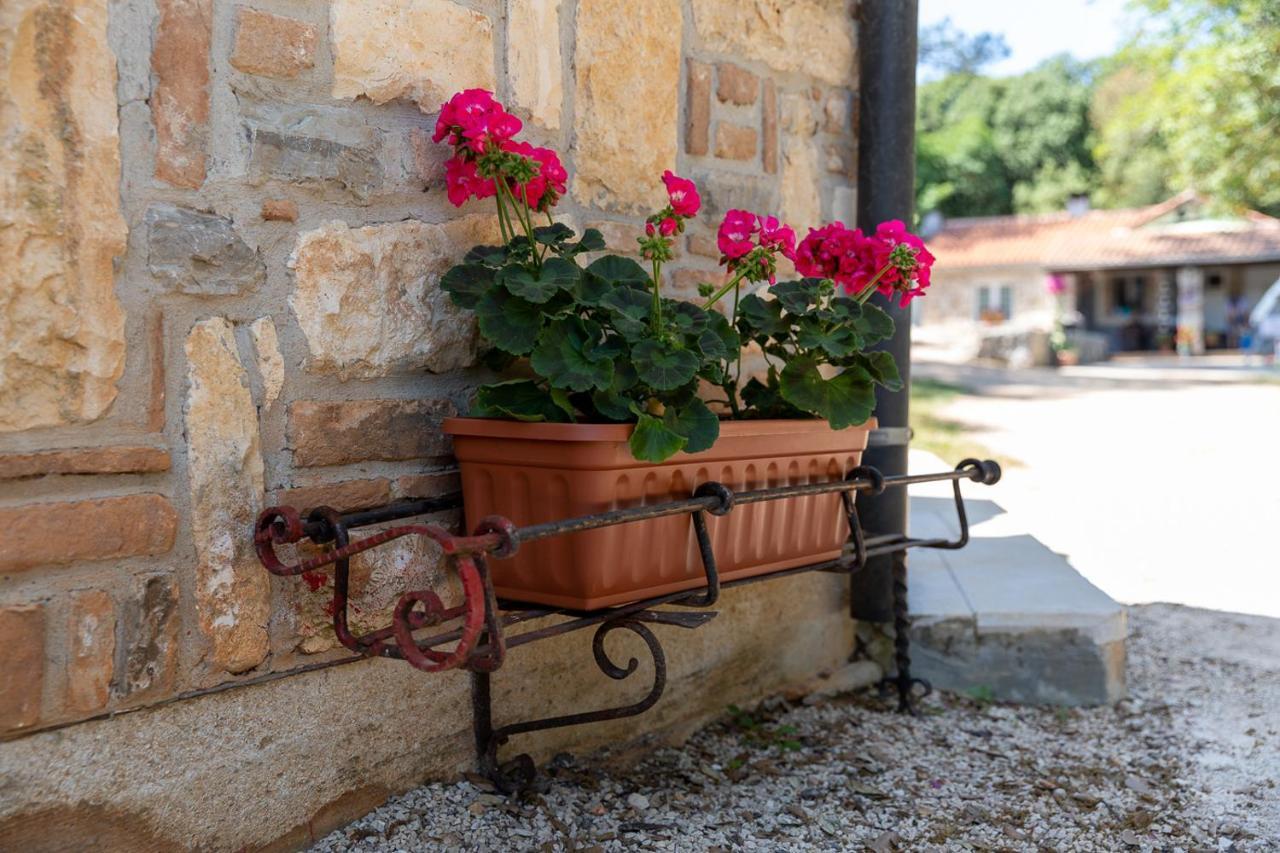 Holiday House Hana Rovinj Dış mekan fotoğraf