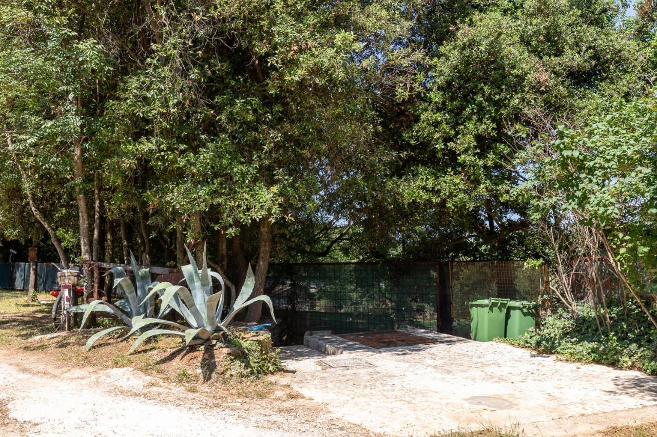 Holiday House Hana Rovinj Dış mekan fotoğraf