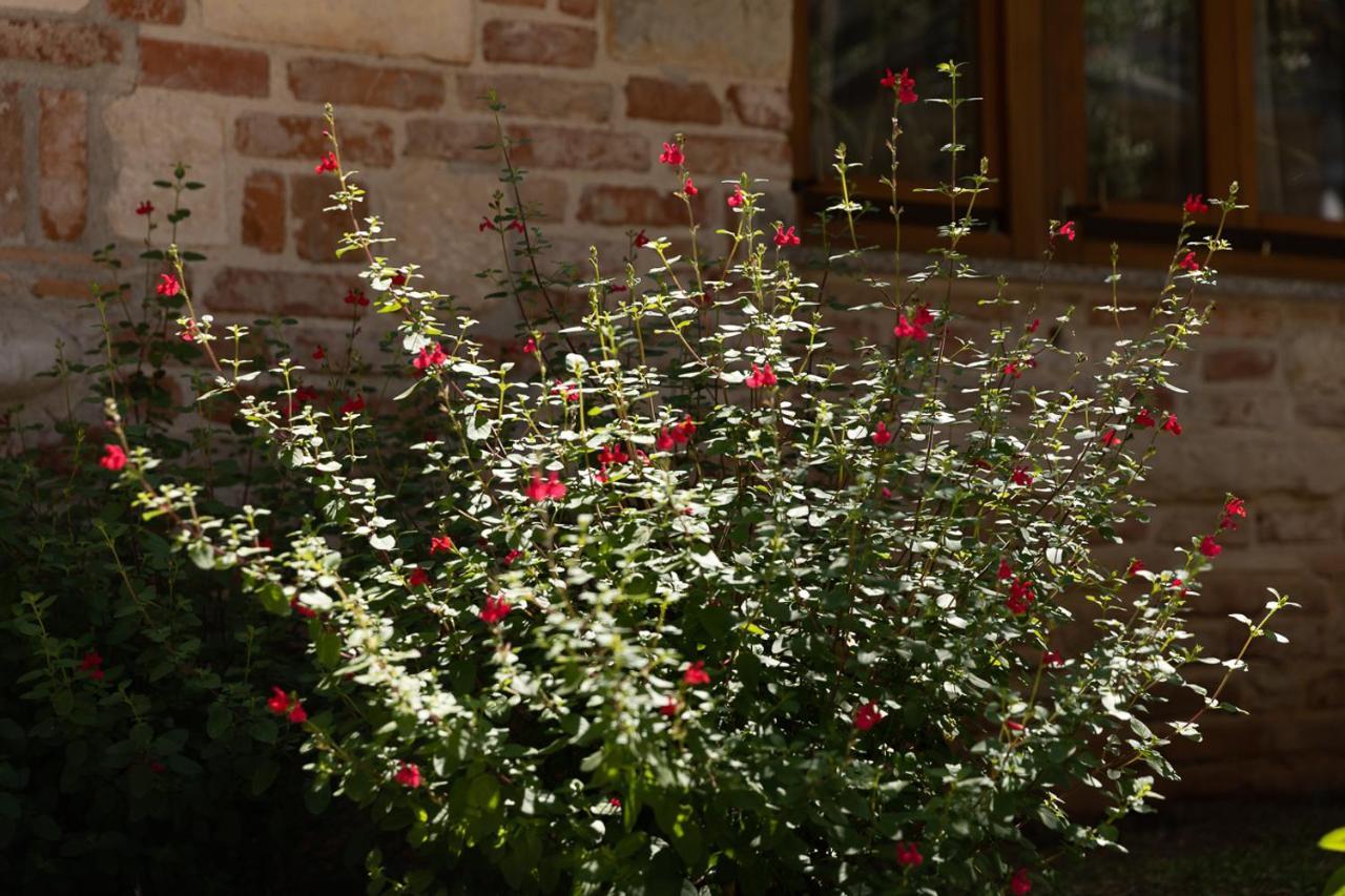 Holiday House Hana Rovinj Dış mekan fotoğraf